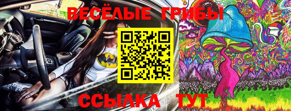 Галлюциногенные грибы мицелий  Вход с VPN  закладки  Галлюциногенные грибы мухоморы  Щёлково 