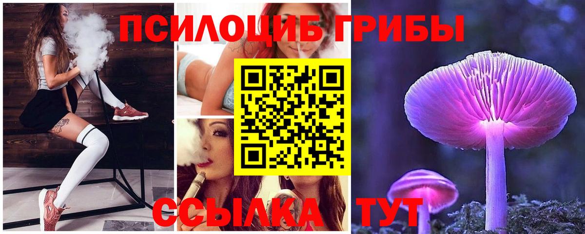 Псилоцибиновые грибы MAGIC MUSHROOMS Щёлково