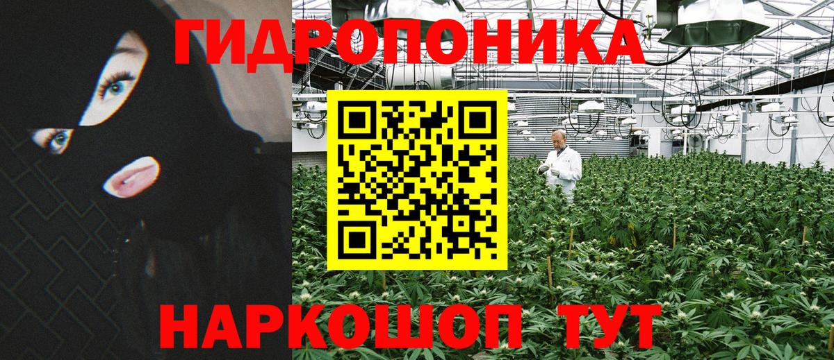Бошки Шишки тримм  Канабис SATIVA & INDICA  Вход с VPN  Щёлково  Марихуана Bruce Banner 